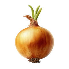 A fresh onion isolated on a backdrop