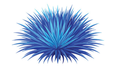 Obraz premium Vibrant blue agave plant isolated on white background