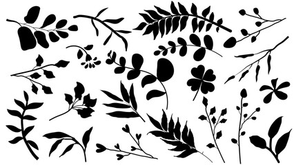A set of black botanical leaf and branch silhouettes on a white background, perfect for design elements and decorations.