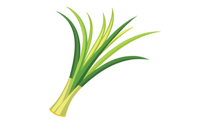 Fototapeta premium Fresh green lemongrass stalks isolated on white