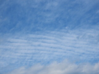 鯖雲　秋の空