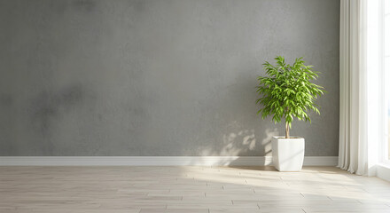 Modern Minimalist Interior with Green Plant in Bright Sunlight