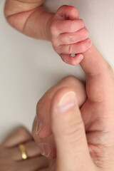 Close-up little hand of child and palm of mother and father. The newborn baby has a firm grip on the parent's finger after birth. A newborn holds on to mom's, dad's finger. 