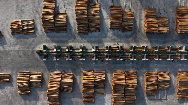 Aerial view of sorted timber logs at a lumber yard with metal dividers and concrete surface, illustrating industrial forestry and wood processing operations.