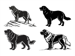 newfoundland dog sihouette black vector bundle