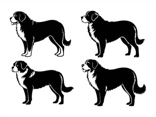 saint bernard sihouette black vector bundle