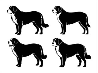 saint bernard sihouette black vector bundle