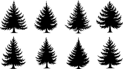 Naklejka premium Set of christmas trees. Winter collection. Isolated objects on white background. Flat vector illustrations.