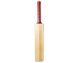 A cricket bat is a piece of sports isolated on white background PNG