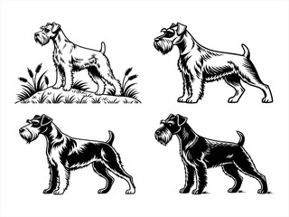 schnauzer sihouette black vector bundle