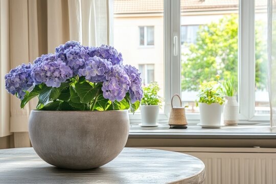Purple hydrangea in a gray pot on a wooden table by a window.  Soft lighting, potted herbs, and a view of greenery beyond