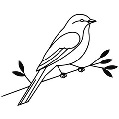 Line Art Bird Perched on Branch Minimalist Outline Illustration