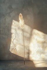 Minimalist Pampas Grass Still Life with Long Shadow