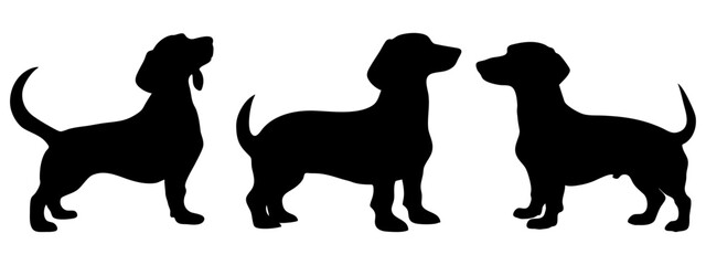 silhouette of a girl