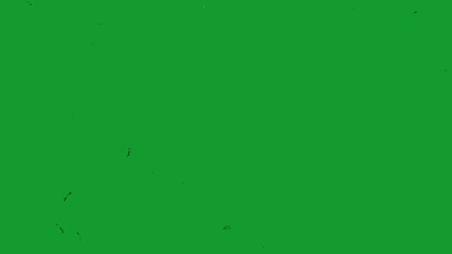 Vintage film overlay with vertical scratches, dust, grain, and light leaks. Includes green screen for easy keying. Perfect for retro video edits, motion graphics, and nostalgic film looks.