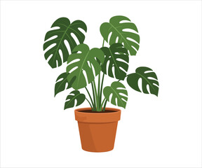 Monstera houseplant. Potted plant displayed against a white background. Flat design. Vector illustration.