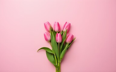 Pink Holiday banner. Bouquet of pink tulips on pink background. Mothers day, Valentines Day, Birthday celebration concept. Copy space, top view. High quality