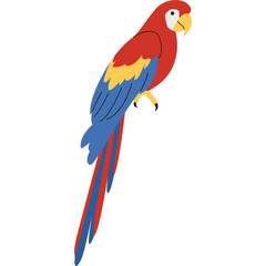 Parrot Flat Illustration