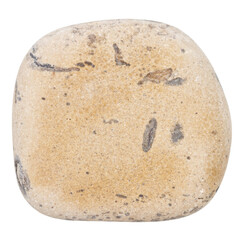 Top view of single yellow pebble isolated on white background.