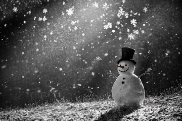 Snowman standing proudly in a winter storm with large snowflakes falling in a serene, snowy...