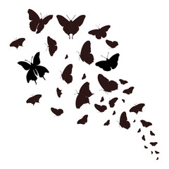Silhouette vector of cluster butterflies in flight isolated