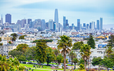 Scenic view of Mission Dolores Park with palm trees and people relaxing, overlooking downtown San Francisco skyline on a bright day. Urban lifestyle and nature in harmony.