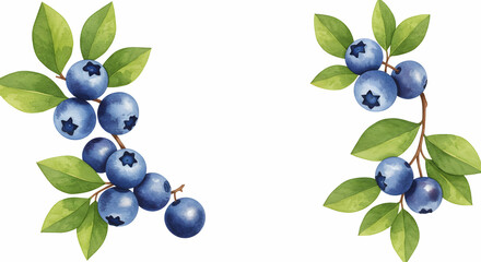 Obraz premium Fresh Blueberry Branches with Green Leaves in Watercolor Style