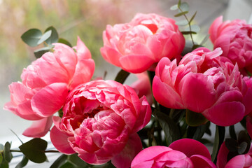 Bouquet of stylish peonies close-up. Pink peony flowers. Close-up of flower petals. Floral greeting card or wallpaper. Delicate abstract floral pastel background. Card Concept, copy space for text 
