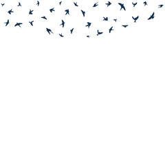Birds Fly in the Air Vector