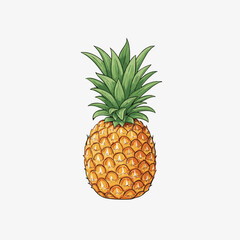 Illustration of a single pineapple with green leaves on a white background