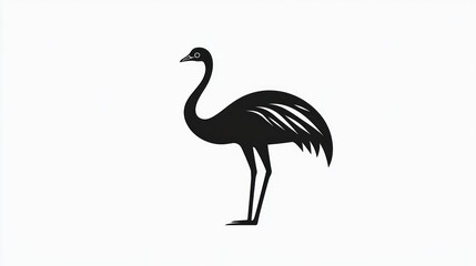 Silhouette of an Ostrich
