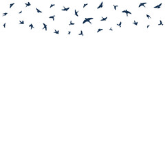 Birds Fly in the Air Vector