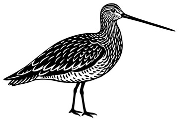 Cute Bird Line Art Vector – Minimalist Bird Illustration, Logo Icon & Clip art on White Background