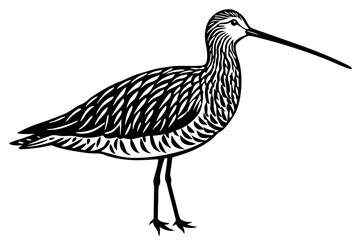 Cute Bird Line Art Vector – Minimalist Bird Illustration, Logo Icon & Clip art on White Background