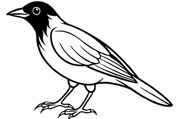 Cute Bird Line Art Vector – Minimalist Bird Illustration, Logo Icon & Clip art on White Background