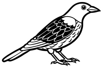 Fototapeta premium Cute Bird Line Art Vector – Minimalist Bird Illustration, Logo Icon & Clip art on White Background