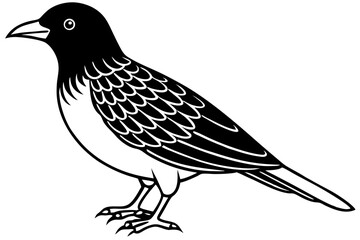 Cute Bird Line Art Vector – Minimalist Bird Illustration, Logo Icon & Clip art on White Background