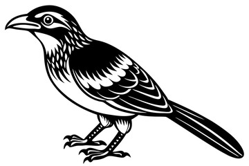 Cute Bird Line Art Vector – Minimalist Bird Illustration, Logo Icon & Clip art on White Background