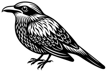 Cute Bird Line Art Vector – Minimalist Bird Illustration, Logo Icon & Clip art on White Background