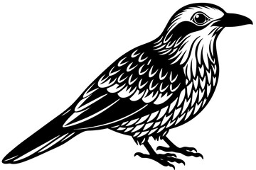 Cute Bird Line Art Vector – Minimalist Bird Illustration, Logo Icon & Clip art on White Background