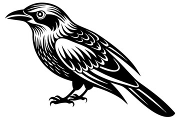 Cute Bird Line Art Vector – Minimalist Bird Illustration, Logo Icon & Clip art on White Background
