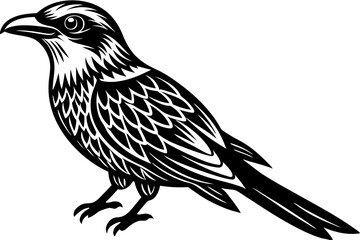 Cute Bird Line Art Vector – Minimalist Bird Illustration, Logo Icon & Clip art on White Background