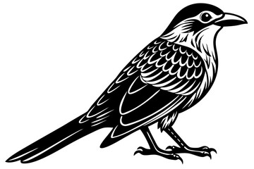 Cute Bird Line Art Vector – Minimalist Bird Illustration, Logo Icon & Clip art on White Background