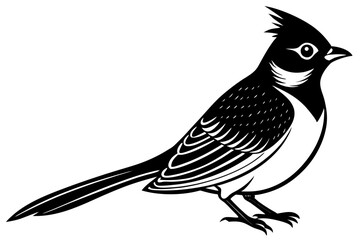 Cute Bird Line Art Vector – Minimalist Bird Illustration, Logo Icon & Clip art on White Background