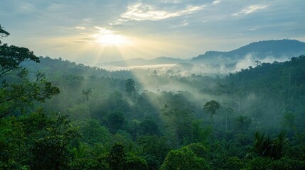 Overlooking a vast rainforest with sun rays breaking through the misty dawn sky, on white