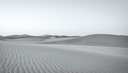 Monochromatic desert landscape showcasing wind-swept sand dunes under a pale sky.
