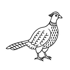 pheasant icon, pheasant line art - simple line art of pheasant, perfect for pheasant logos and icons