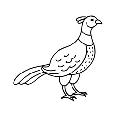 pheasant icon, pheasant line art - simple line art of pheasant, perfect for pheasant logos and icons