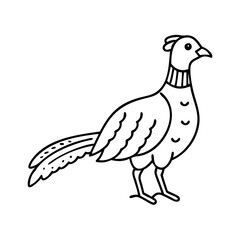 pheasant icon, pheasant line art - simple line art of pheasant, perfect for pheasant logos and icons