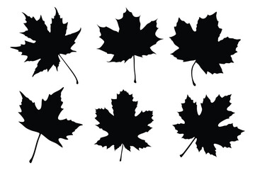 Set of autumn leaves silhouette vector, Black leaf silhouettes